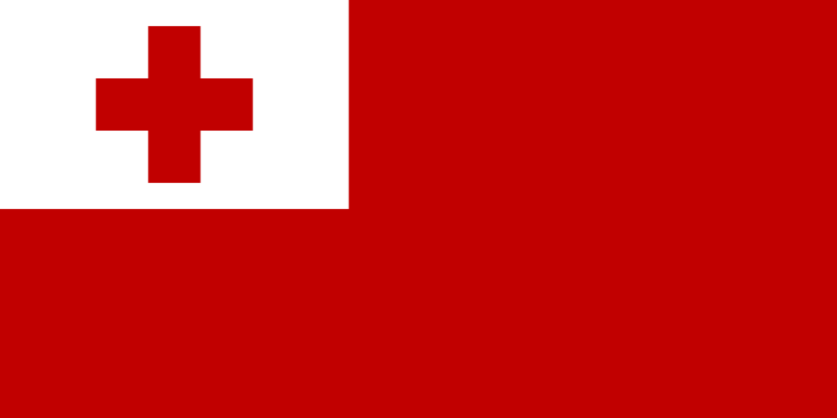 Google Workspace (G Suite) Service In Tonga